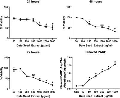 In-vitro Investigation of Polyphenol-Rich Date (Phoenix dactylifera L.) Seed Extract Bioactivity